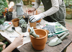 生活嚐新： 園藝樂體驗 II之「生活中的崎嶇與嶙峋」